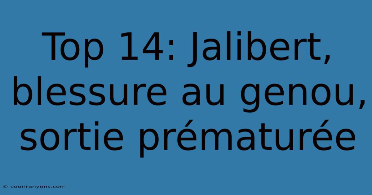 Top 14: Jalibert, Blessure Au Genou, Sortie Prématurée