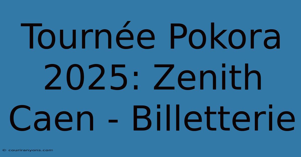 Tournée Pokora 2025: Zenith Caen - Billetterie