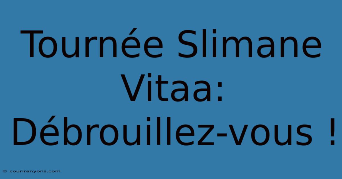 Tournée Slimane Vitaa:  Débrouillez-vous !