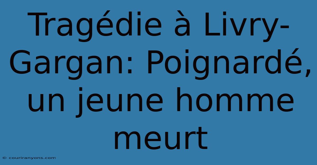 Tragédie À Livry-Gargan: Poignardé, Un Jeune Homme Meurt