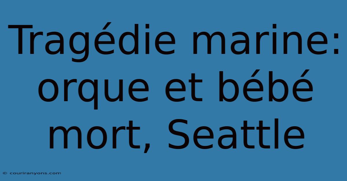 Tragédie Marine: Orque Et Bébé Mort, Seattle