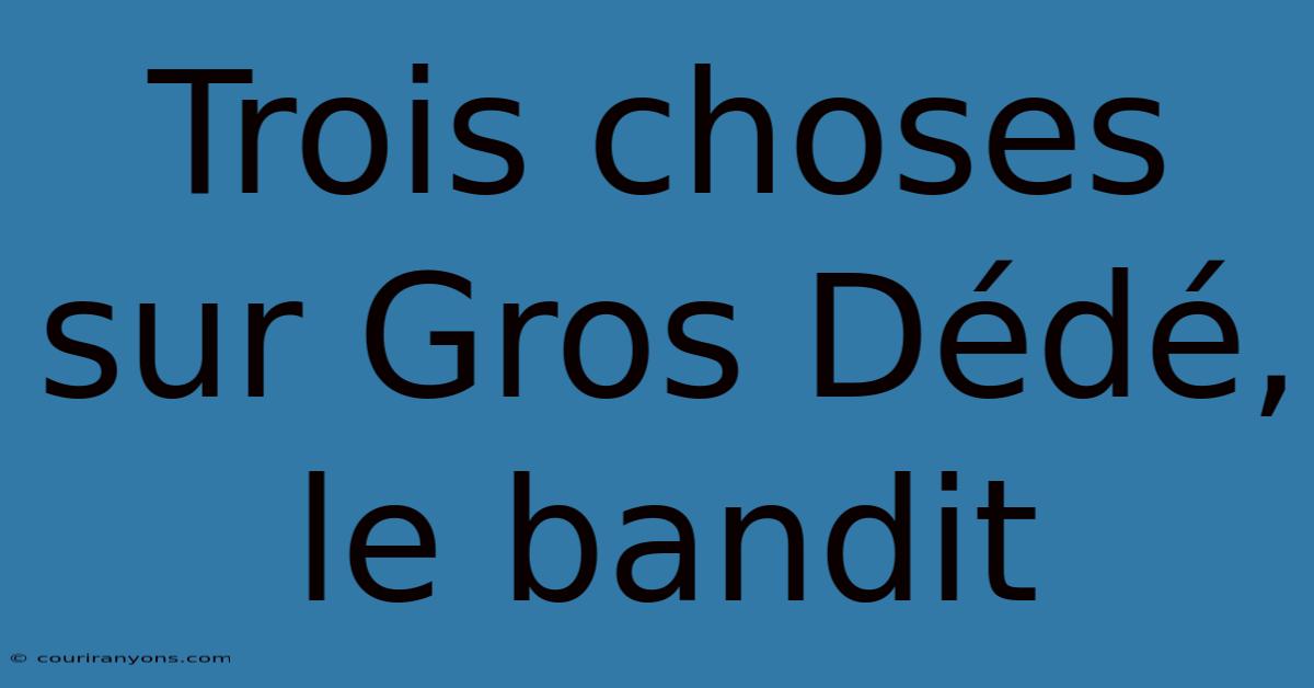 Trois Choses Sur Gros Dédé, Le Bandit