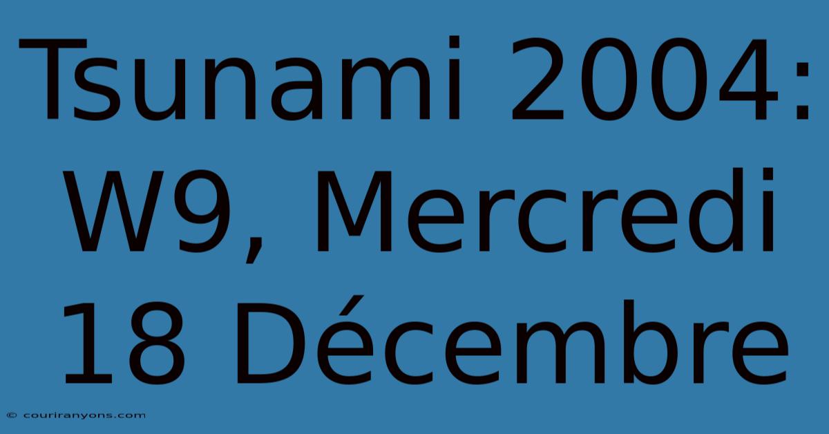 Tsunami 2004: W9, Mercredi 18 Décembre