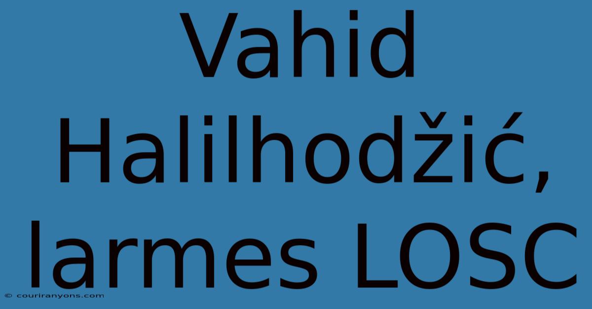 Vahid Halilhodžić, Larmes LOSC