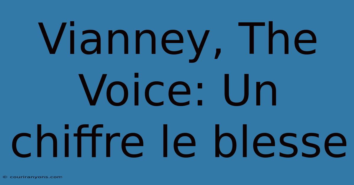 Vianney, The Voice: Un Chiffre Le Blesse