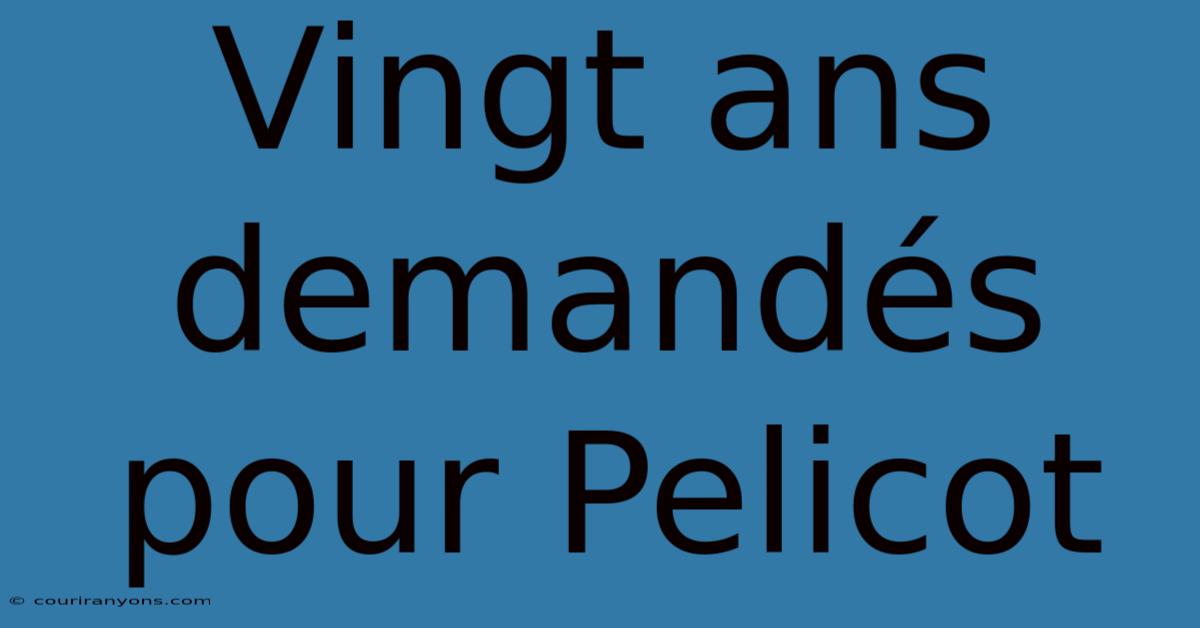 Vingt Ans Demandés Pour Pelicot