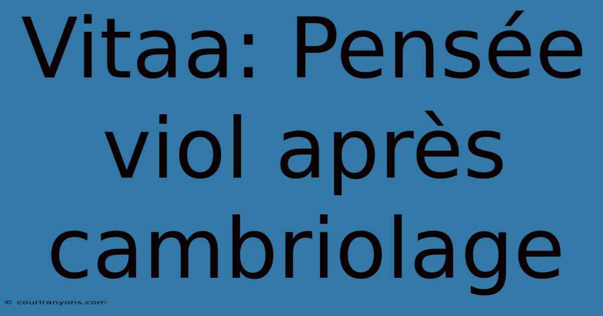 Vitaa: Pensée Viol Après Cambriolage