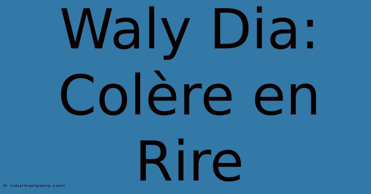 Waly Dia: Colère En Rire