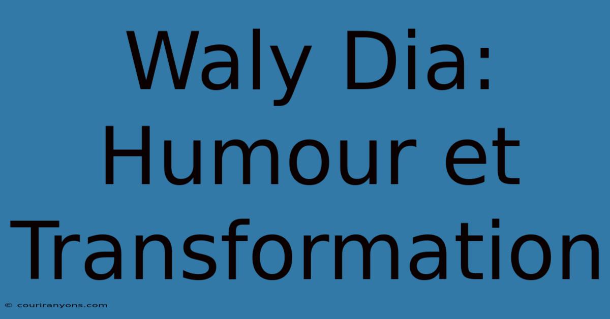 Waly Dia: Humour Et Transformation