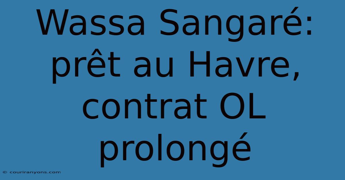 Wassa Sangaré: Prêt Au Havre, Contrat OL Prolongé