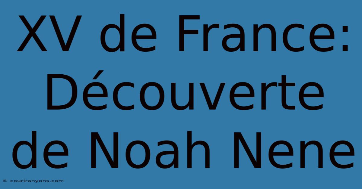 XV De France: Découverte De Noah Nene