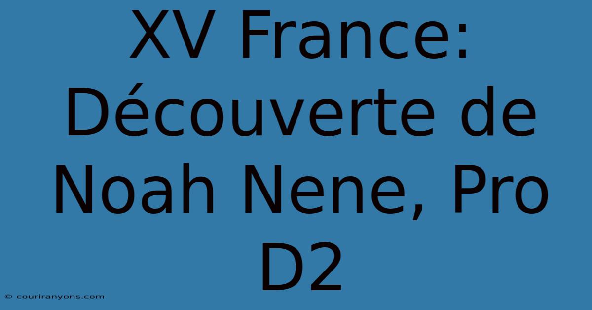 XV France: Découverte De Noah Nene, Pro D2