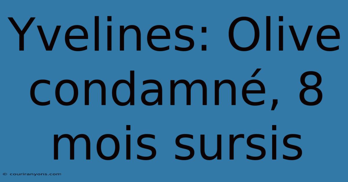 Yvelines: Olive Condamné, 8 Mois Sursis